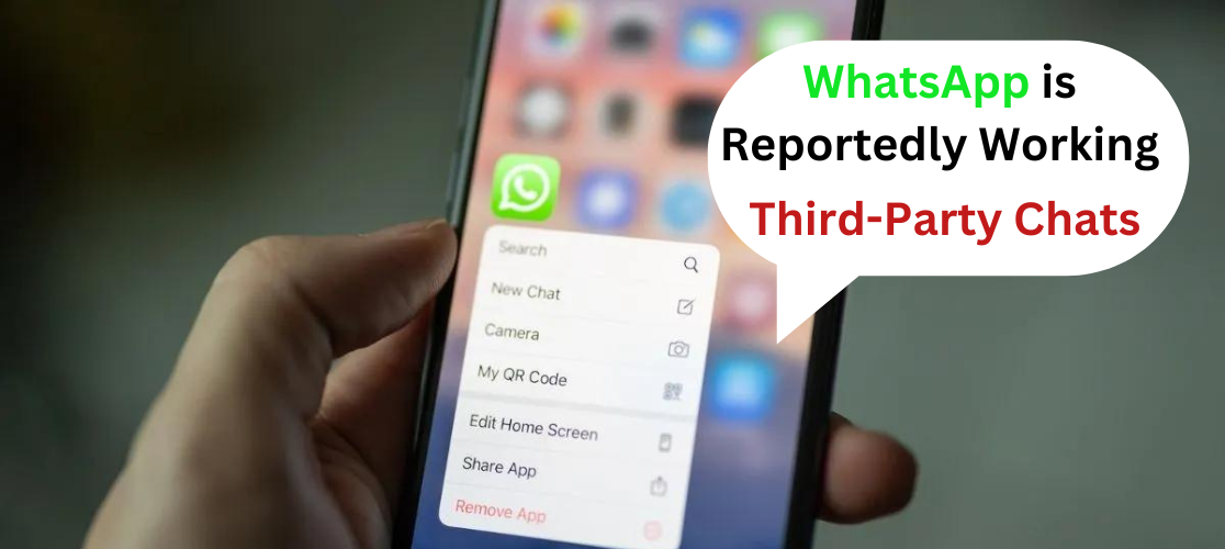 WhatsApp's third-party chats