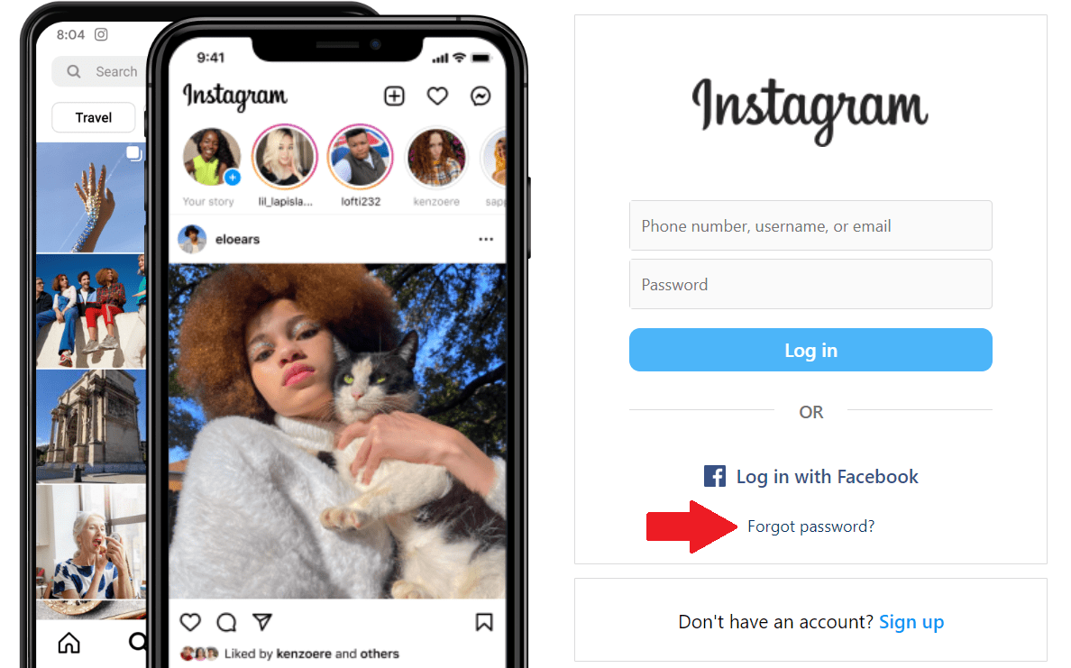 instagram Password Reset
